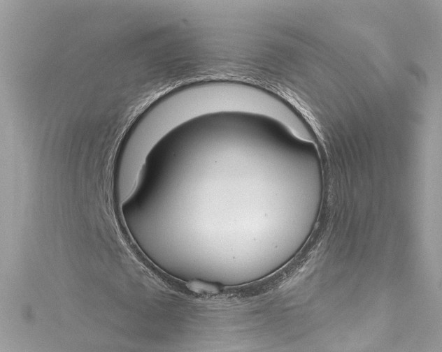 X0000115160673200911171302