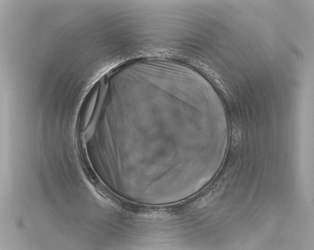 X0000115160674200911171302