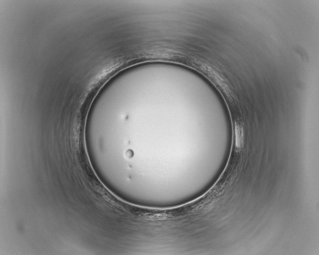 X0000115160675200911171302