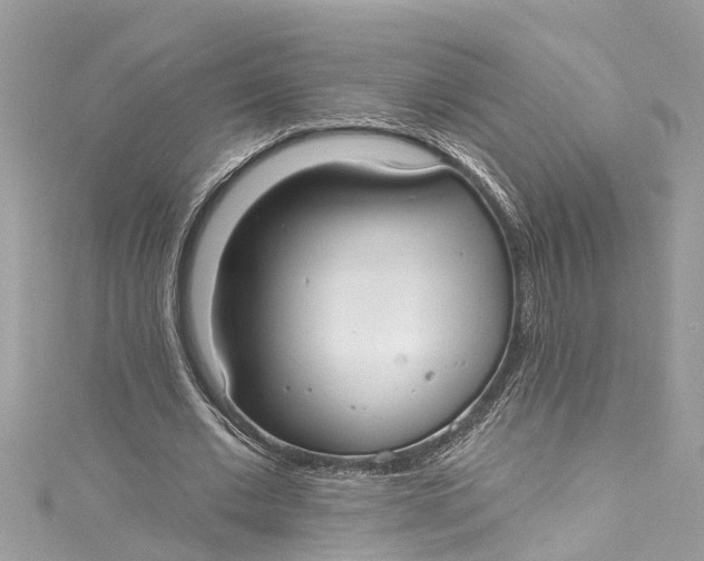 X0000115160677200911171302