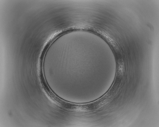 X0000115160678200911171302