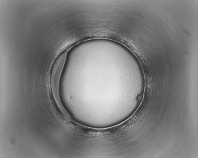 X0000115160679200911171302