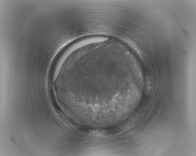 X0000115160680200911171302