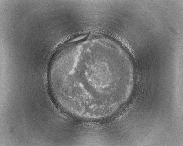 X0000115160681200911171302