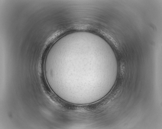 X0000115160682200911171302