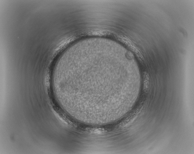 X0000115160683200911171302