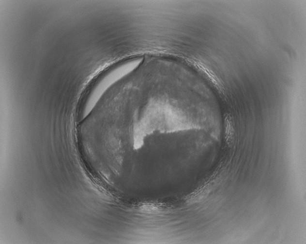 X0000115160684200911171302