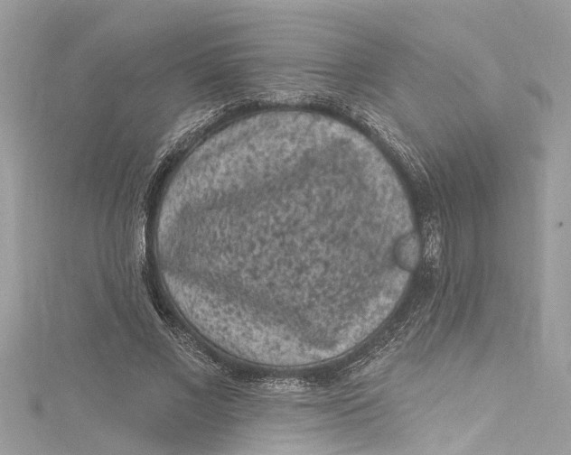 X0000115160685200911171302