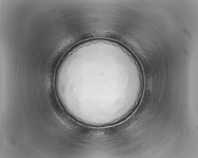 X0000115160687200911171302