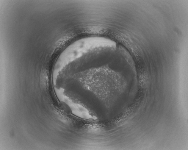 X0000115160688200911171302