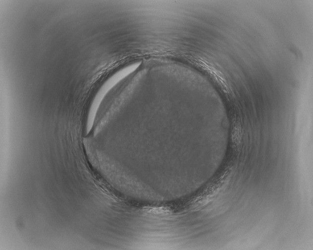 X0000115160689200911171302