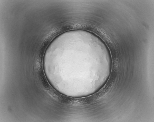 X0000115160691200911171302