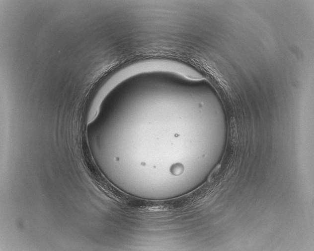 X0000115160692200911171302