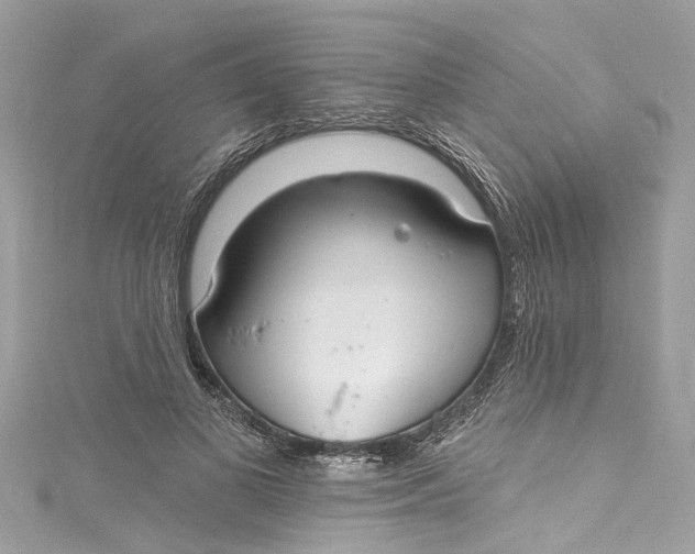 X0000115160693200911171302