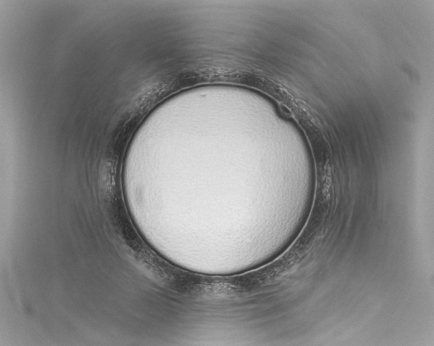 X0000115160695200911171302