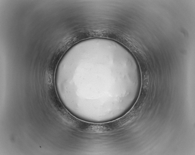 X0000115160699200911171302