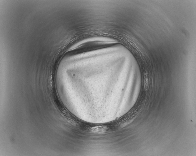 X0000115160700200911171302