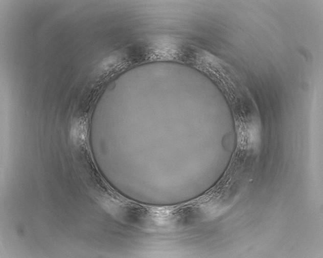 X0000115160701200911171302