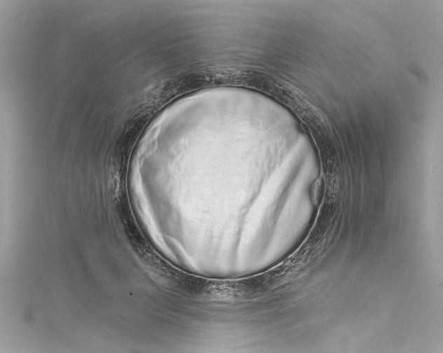 X0000115160703200911171302