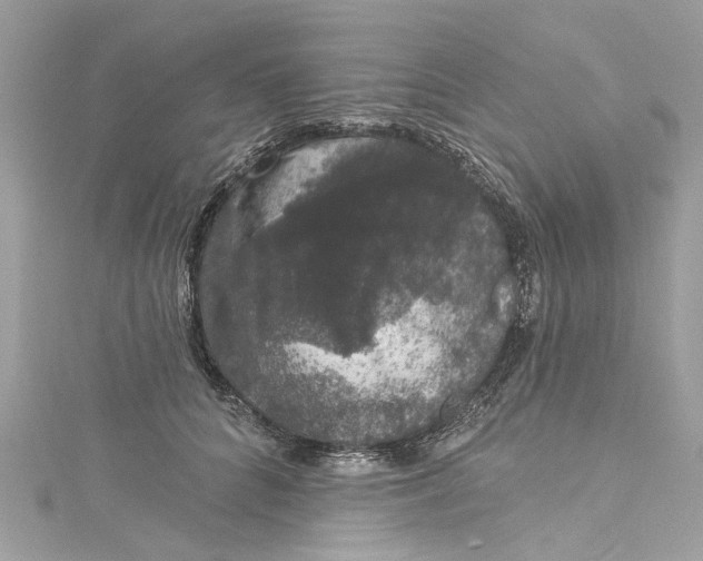 X0000115160704200911171302