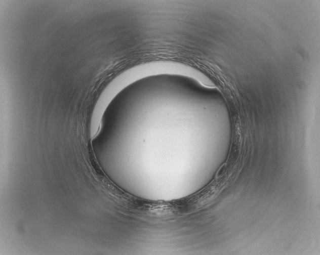 X0000115160705200911171302