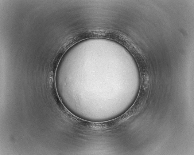 X0000115160707200911171302