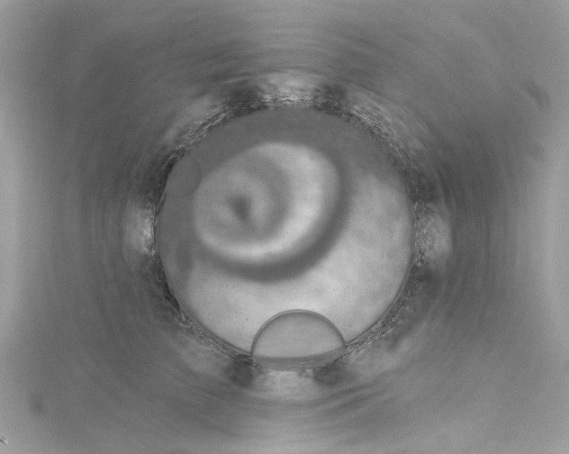 X0000115160709200911171302