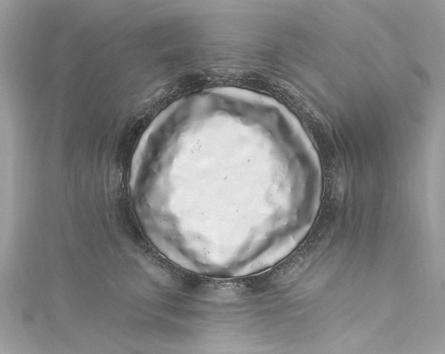 X0000115160711200911171302