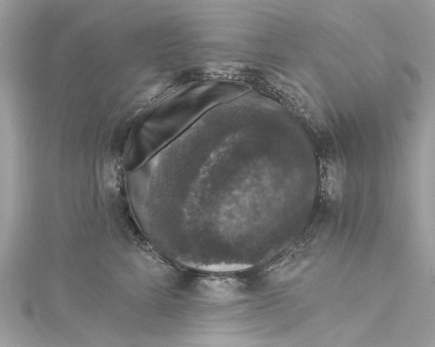 X0000115160712200911171302