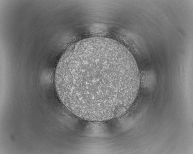 X0000115160713200911171302