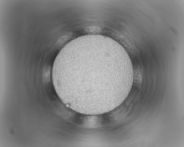 X0000115160717200911171302