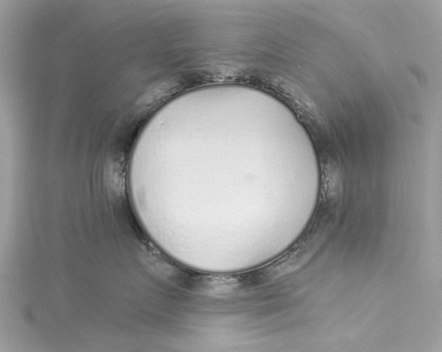 X0000115160719200911171301