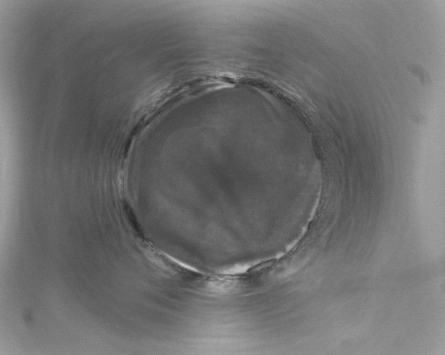 X0000115160720200911171301