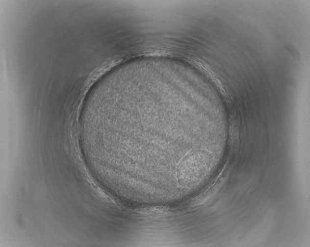 X0000115160721200911171301