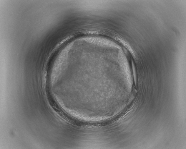 X0000115160722200911171301