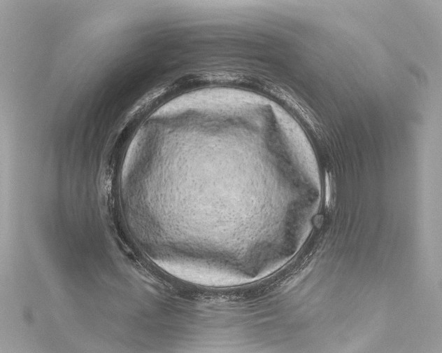 X0000115160723200911171301