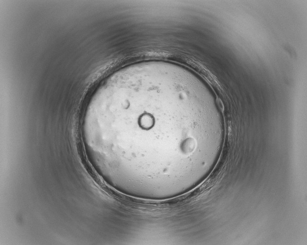 X0000115160725200911171301