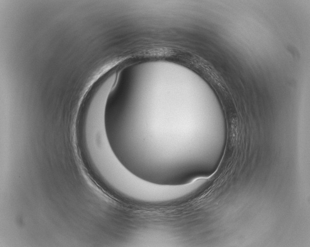 X0000115160726200911171301