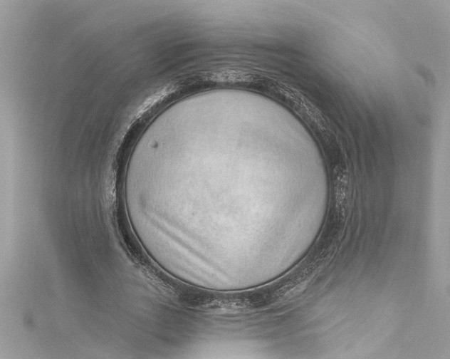 X0000115160727200911171301