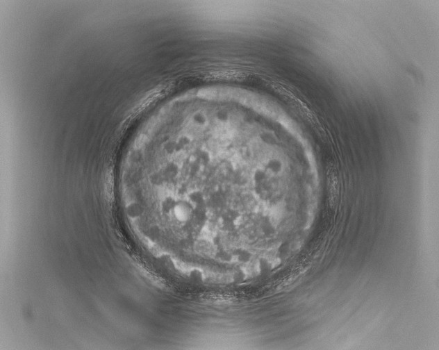 X0000115160729200911171301