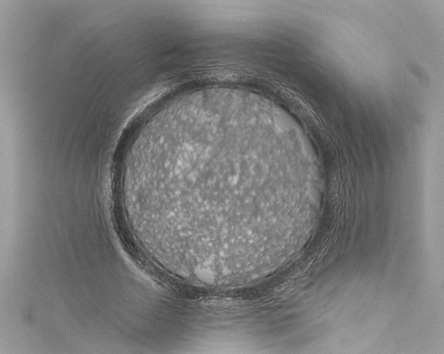 X0000115160730200911171301