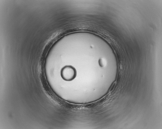 X0000115160734200911171301