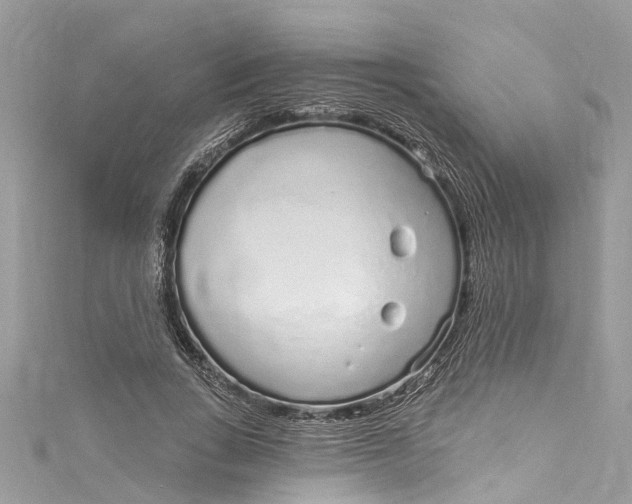 X0000115160735200911171301