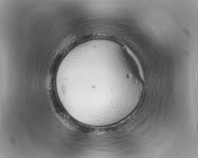 X0000115160738200911171301