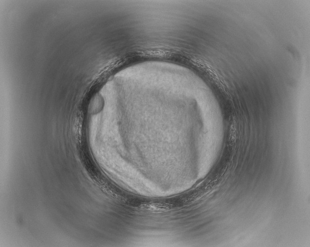 X0000115160739200911171301