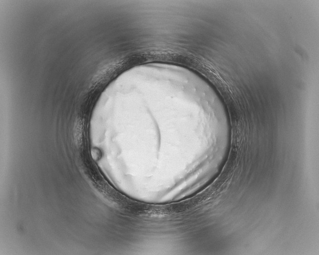 X0000115160742200911171301