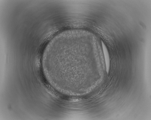 X0000115160746200911171301