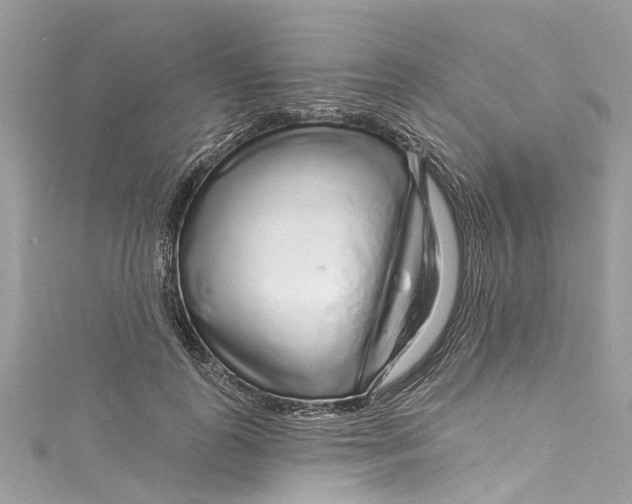 X0000115160747200911171301