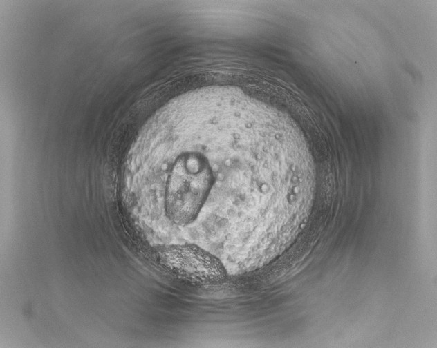 X0000115160749200911171301