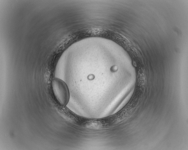 X0000115160750200911171301